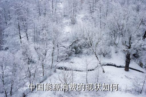 中國能源消費的現狀如何