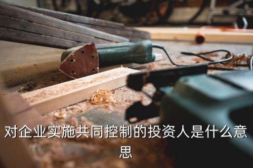 對企業實施共同控制的投資人是什么意思