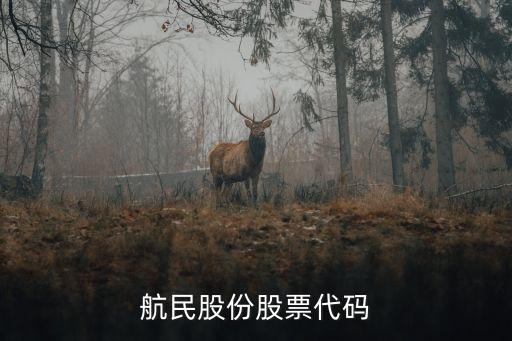 萬向集團(tuán)股東