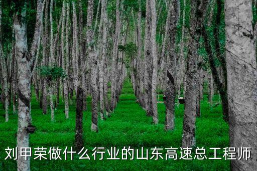 劉甲榮做什么行業的山東高速總工程師