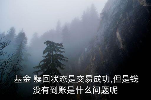 基金贖回已發送第三方