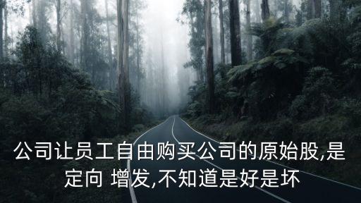 定向增發的股票好嗎