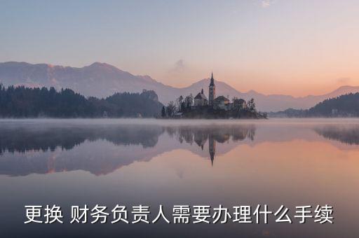 更換 財務負責人需要辦理什么手續