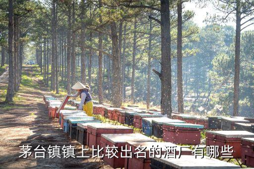 茅臺鎮鎮上比較出名的酒廠有哪些