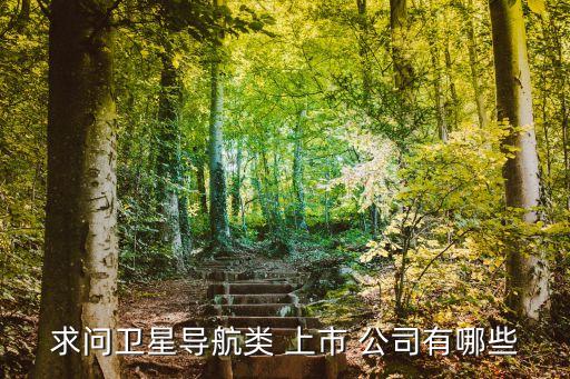 求問衛星導航類 上市 公司有哪些