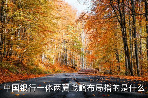中國銀行一體兩翼戰略布局指的是什么