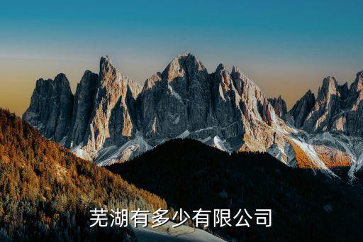 合肥神鹿雙鶴九華藥業有限公司