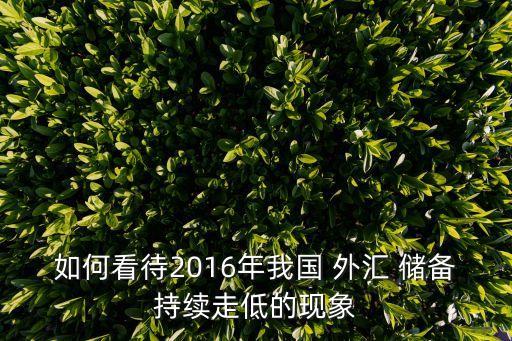 如何看待2016年我國 外匯 儲備持續走低的現象