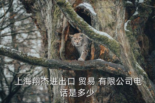 上海楊輝貿易有限公司,上海國際醫藥貿易有限公司