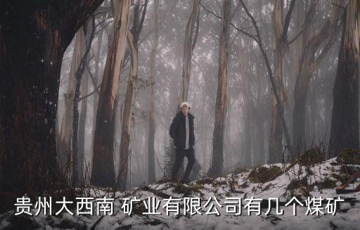 貴州大西南 礦業有限公司有幾個煤礦