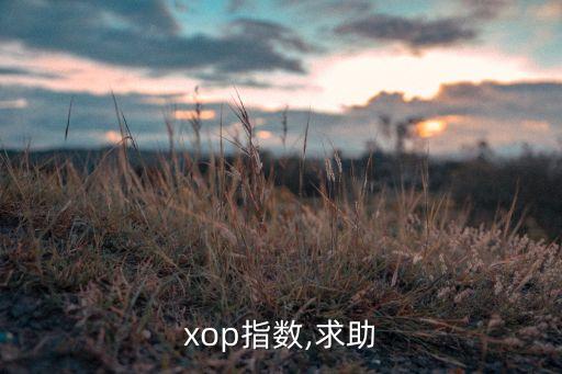 xop指數,求助