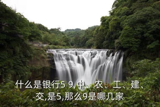 什么是銀行5 9,中、農(nóng)、工、建、交,是5,那么9是哪幾家
