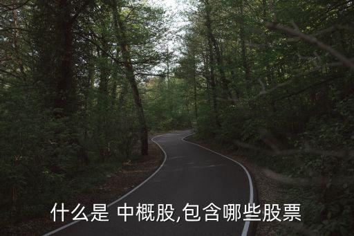 中概股中有哪些公司從事OTT業務