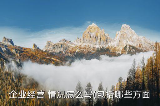 公司主營業務情況,公司的主營業務怎么寫