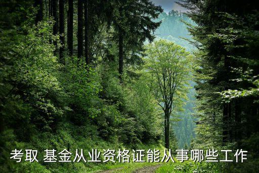 基金分析師是做什么事情,數據分析師在公司主要做什么事情