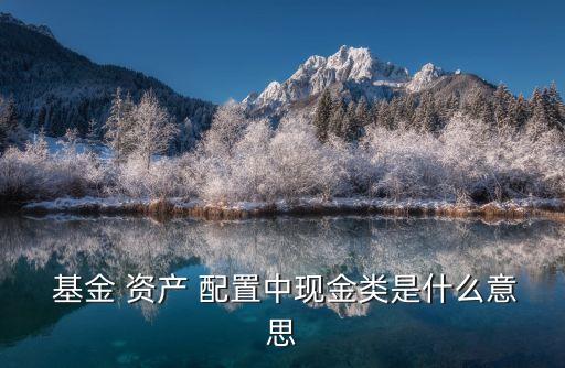  基金 資產 配置中現金類是什么意思