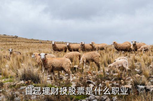 資本投資屬于什么行業,投資資本