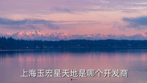  上海玉宏星天地是哪個開發商