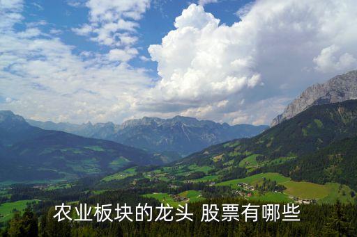 農業板塊的龍頭 股票有哪些