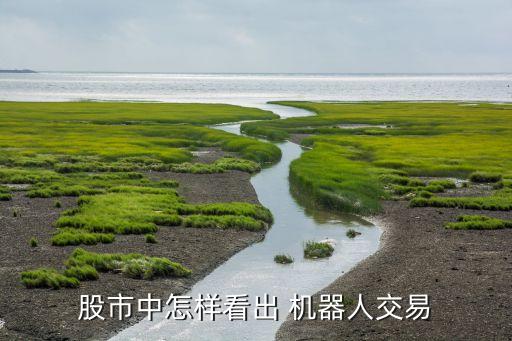 股票很多相同成交機器單,股票成交相同的數反復出現