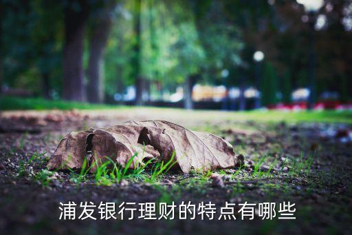 浦發銀行同享盈風險