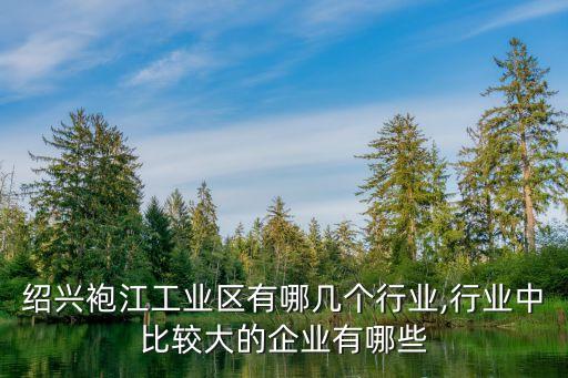 紹興袍江工業區有哪幾個行業,行業中比較大的企業有哪些