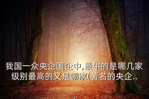 中德擔保中國排第幾名