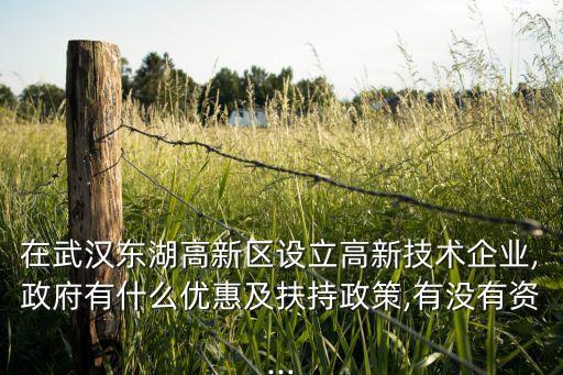 在武漢東湖高新區設立高新技術企業,政府有什么優惠及扶持政策,有沒有資...