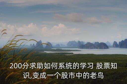 200分求助如何系統的學習 股票知識,變成一個股市中的老鳥