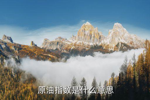  原油指數是什么意思