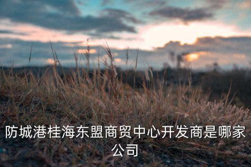 珠海同冠貿易有限公司