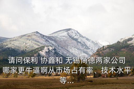 無錫協鑫集團,協鑫集團真正的老板