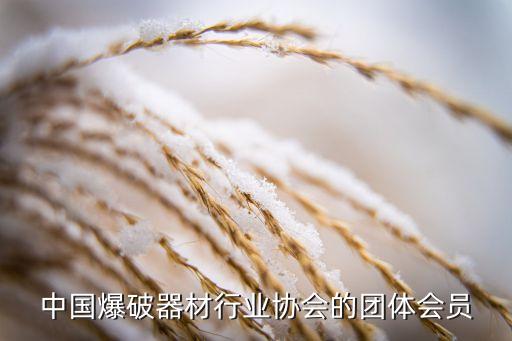 中國爆破器材行業協會的團體會員