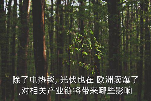 除了電熱毯, 光伏也在 歐洲賣爆了,對相關產業鏈將帶來哪些影響