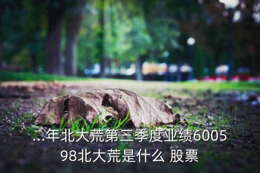 ...年北大荒第三季度業績600598北大荒是什么 股票