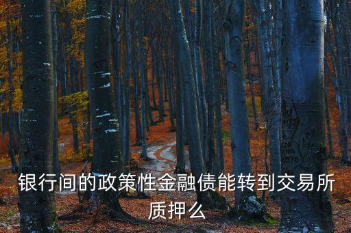  銀行間的政策性金融債能轉到交易所 質押么