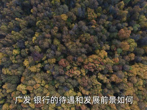 武漢廣發銀行柜員工資