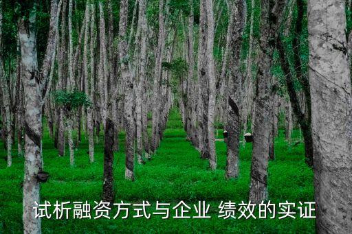 試析融資方式與企業 績效的實證