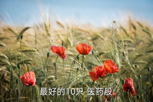 最好的10只 醫藥股