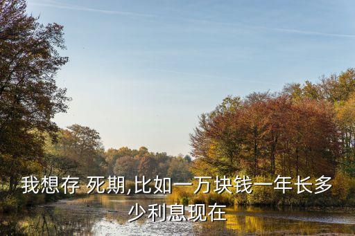 我想存 死期,比如一萬塊錢一年長多少利息現在