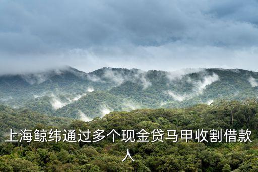 上海鯨緯通過多個現金貸馬甲收割借款人