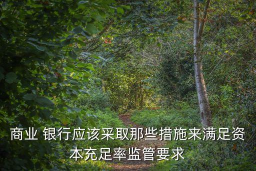 商業 銀行應該采取那些措施來滿足資本充足率監管要求
