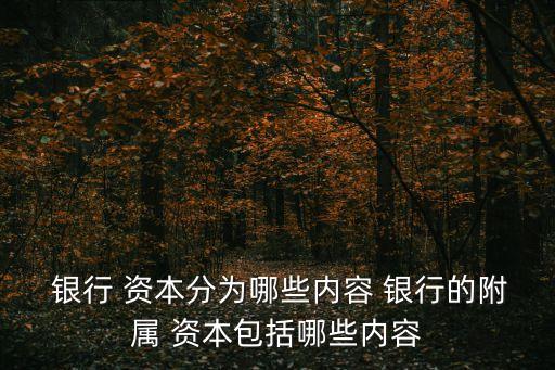 銀行核心資本,為了提高商業銀行核心資本