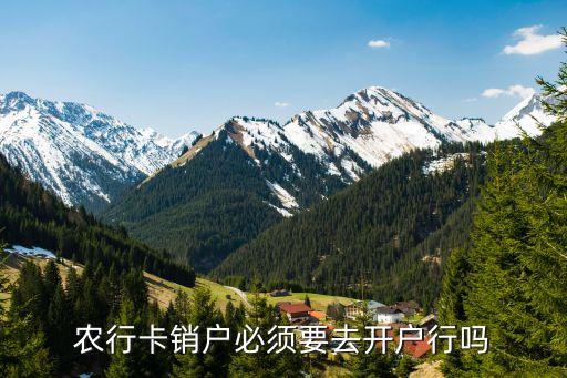 農行卡銷戶必須要去開戶行嗎