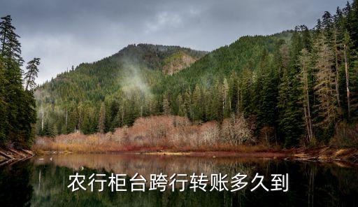 農行柜臺跨行轉賬多久到