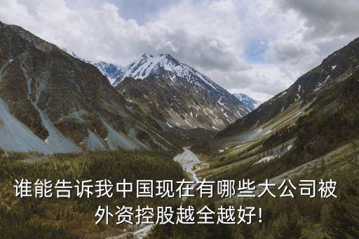 誰能告訴我中國現在有哪些大公司被 外資控股越全越好!