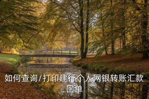 如何查詢/打印建行個人網銀轉賬匯款回單