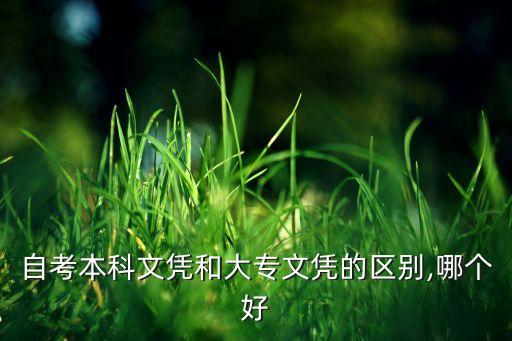 自考本科文憑和大專文憑的區別,哪個好