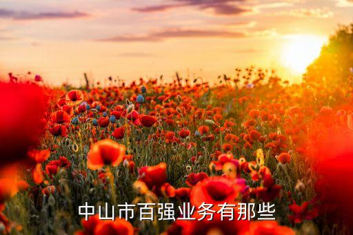 中山市百強業務有那些