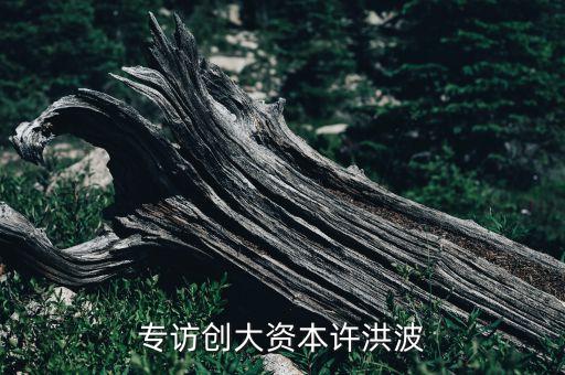 專訪創大資本許洪波